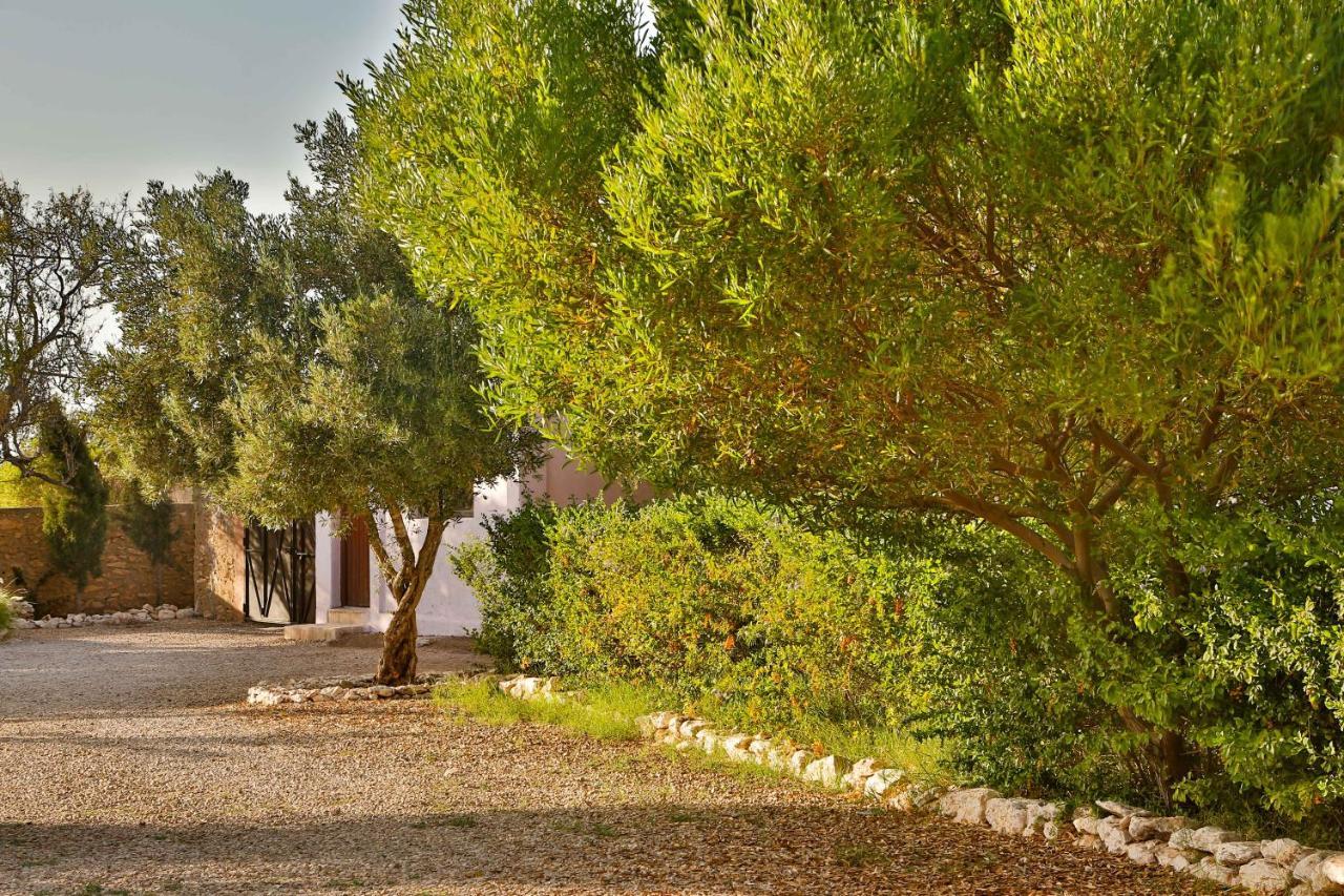 Maison Kasba Bonheur & Bien Etre Emma & Gilles Essaouira Eksteriør billede